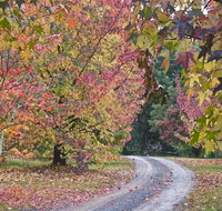 Rustic Spirit - Holiday Find