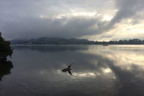 Salty Kisses Holiday House - Holiday Find 2