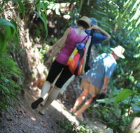 Sanctuary Retreat - Holiday Find