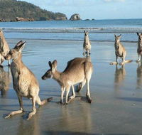 Seaforth Holiday Units - Holiday Find