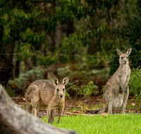 Secura Lifestyle Countryside Kalaru - Holiday Find