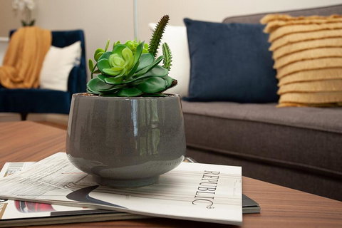 STAY&CO North Sydney Crows Nest - Holiday Find 1