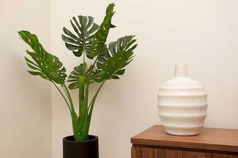 STAY&CO North Sydney Crows Nest - Holiday Find 2