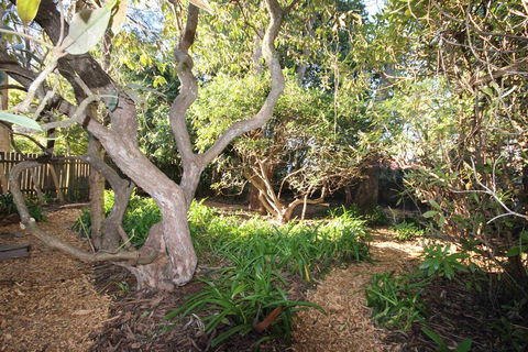 Stonewall Cottage And Studio - Holiday Find 2