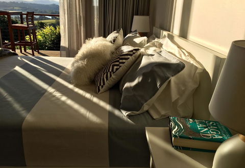 Studio With Stunning Mountain Views - Holiday Find 2