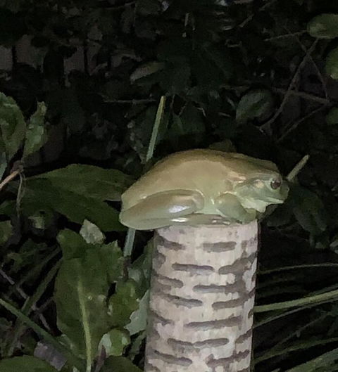 Studio With Stunning Mountain Views - Holiday Find 3