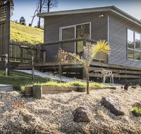 Sunny Gum - Holiday Find