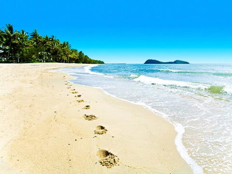 Temple 121 Modern Spacious Palm Cove 2 Brm 2 Bth Resort Apartment With Courtyard - Holiday Find 0