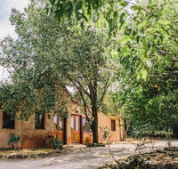 Terroir Auburn - Holiday Find