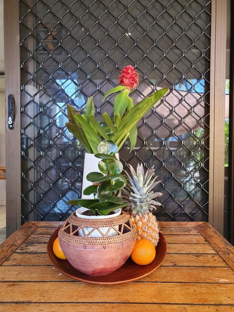 The Balinese - Holiday Find 2