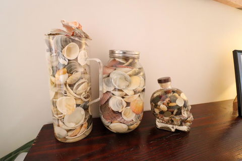 The Beach Shack - Holiday Find 3