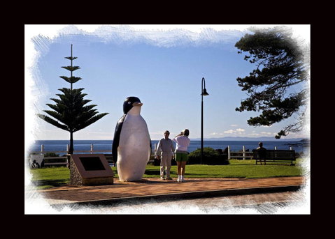 Penguin Beachfront Apartments - Holiday Find 13
