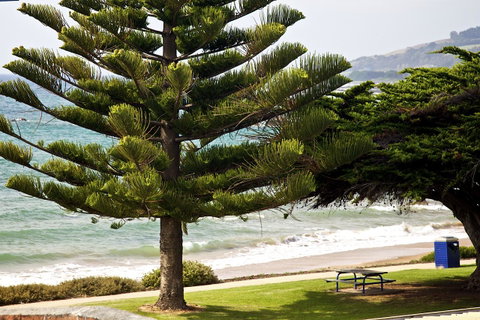 Penguin Beachfront Apartments - Holiday Find 9