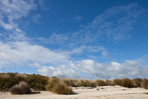 Pearl Hawley Beach - Holiday Find 37