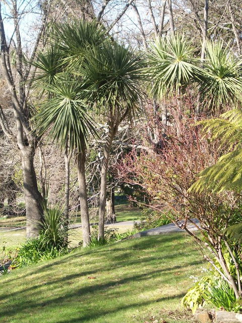 Lucinda B&B - Holiday Find 23