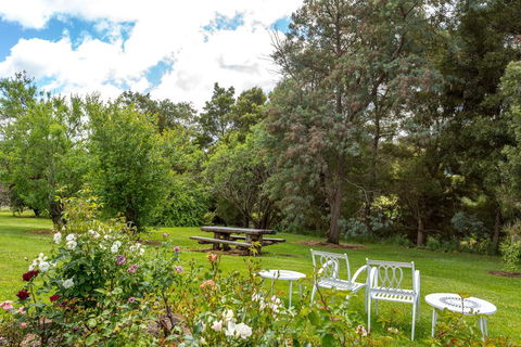 Cambridge House Bed & Breakfast - Holiday Find 21