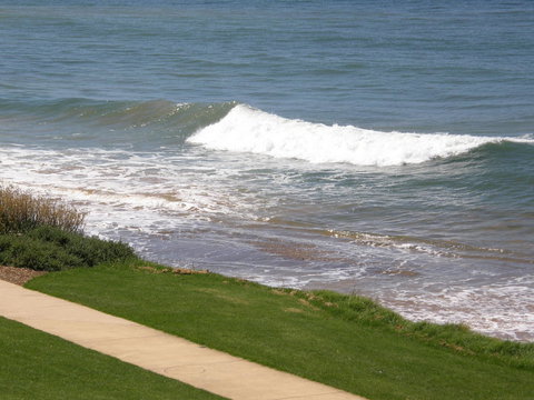 Penguin Waterfront Escape - Holiday Find 13