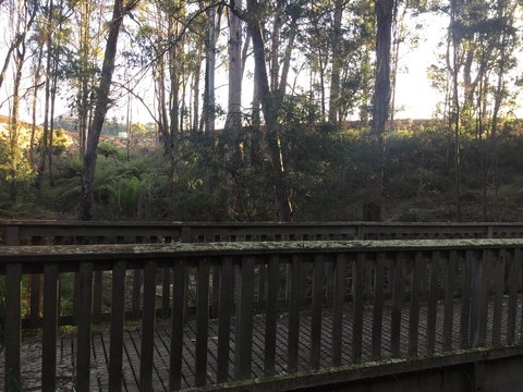 Harlea - Holiday Find 13