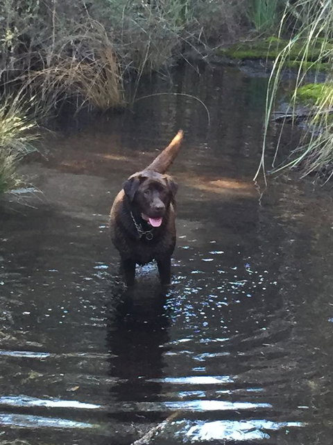 Harlea - Holiday Find 27