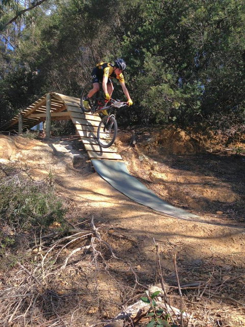 Harlea - Holiday Find 30