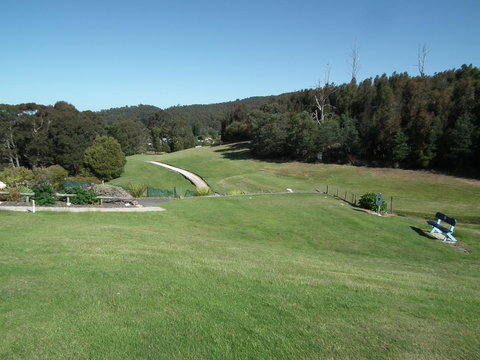 Harlea - Holiday Find 15