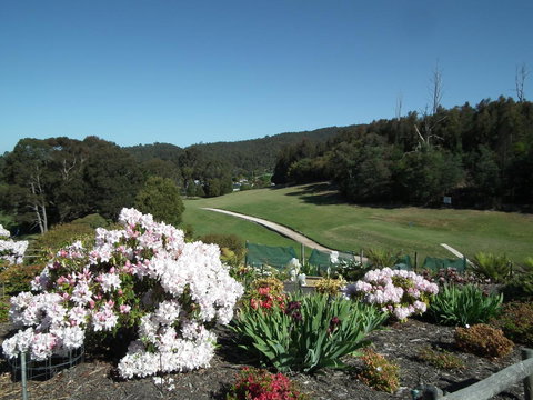 Harlea - Holiday Find 16