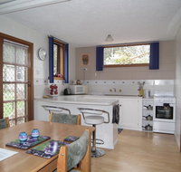 Harlea - Holiday Find