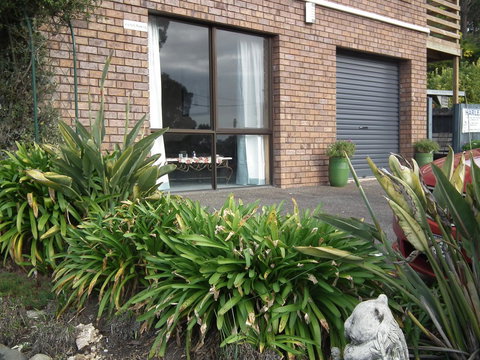 Harlea - Holiday Find 12