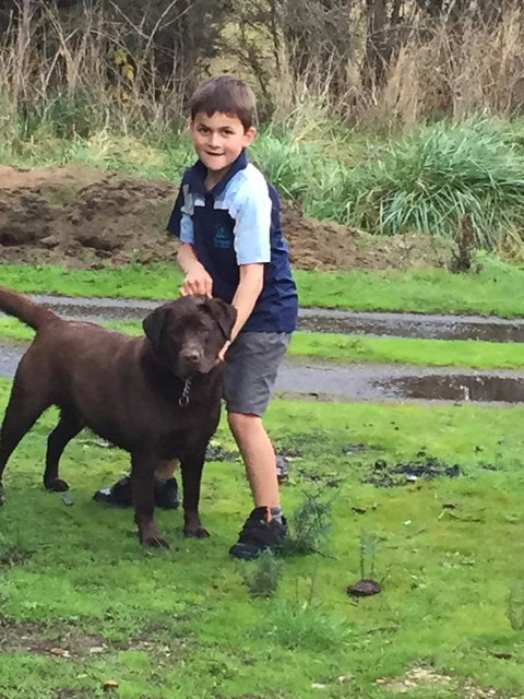 Harlea - Holiday Find 24