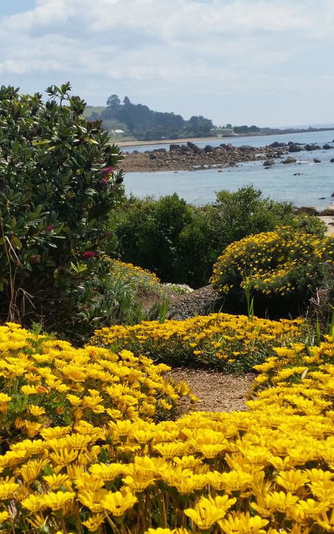 Penguin Beach House - Holiday Find 18