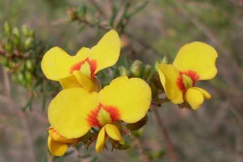 Three Beaches - Holiday Find 43