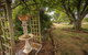 Glencoe Country Bed And Breakfast - thumb 31