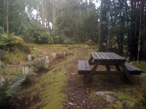 Sassafras Springs - Holiday Find 9