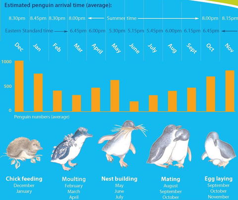Diamond Island Resort - Holiday Find 28
