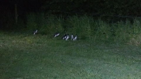 Diamond Island Resort - Holiday Find 22