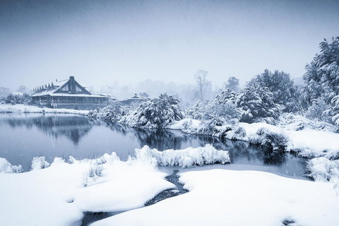 Peppers Cradle Mountain Lodge - Holiday Find 24