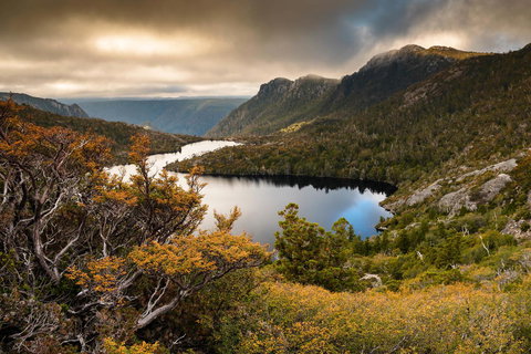 Peppers Cradle Mountain Lodge - Holiday Find 38