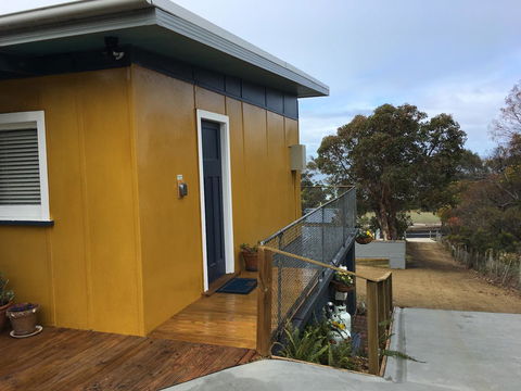 Up The Back - Holiday Find 2