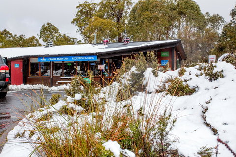 Discovery Parks - Cradle Mountain - Holiday Find 29