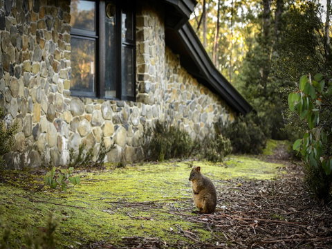 Discovery Parks - Cradle Mountain - Holiday Find 22