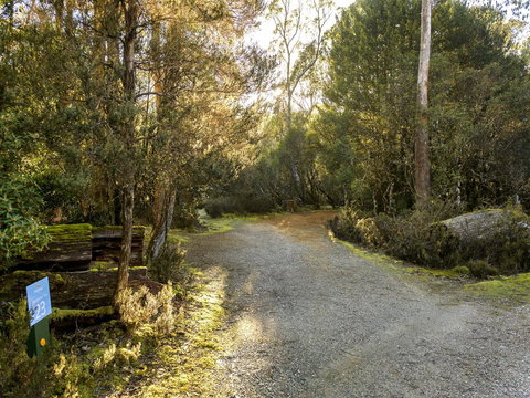 Discovery Parks - Cradle Mountain - Holiday Find 1