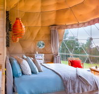 Domescapes in the Vines - Holiday Find