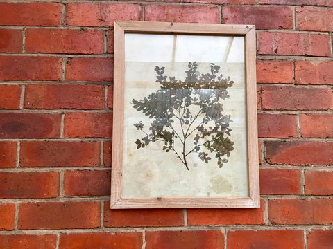 Cygnet Old Bank - Holiday Find 44