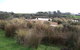 Cloudy Bay Beach House - thumb 24