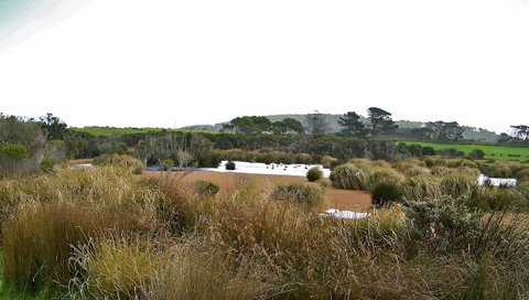 Cloudy Bay Beach House - Holiday Find 19