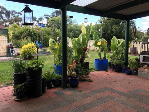 Blue Wren Bungalow - Holiday Find 0