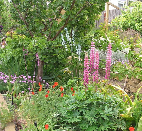 Bendalls Bed And Breakfast - Holiday Find 14