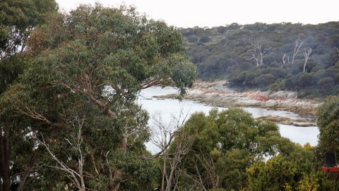 BAY OF FIRES SEACHANGE Ocean Frontage - Holiday Find 15
