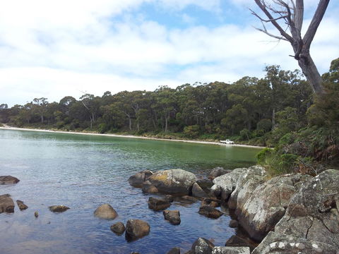 Mandala Bruny Island - Holiday Find 28