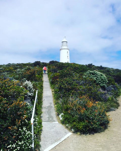 Mandala Bruny Island - Holiday Find 27